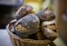 pain au pavot